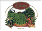 Cuaba